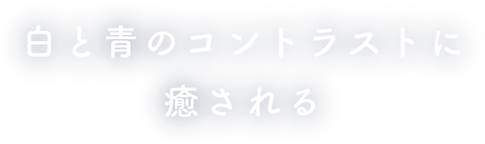 白と青のコントラストに癒やされる