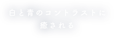 白と青のコントラストに癒やされる